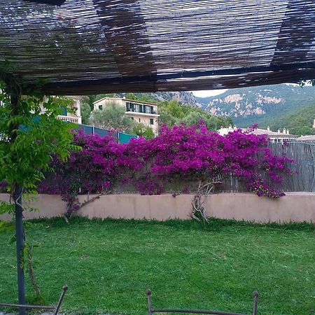 Filoses 18A Valldemossa  Luaran gambar